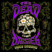 The Dead Daisies - Holy Ground